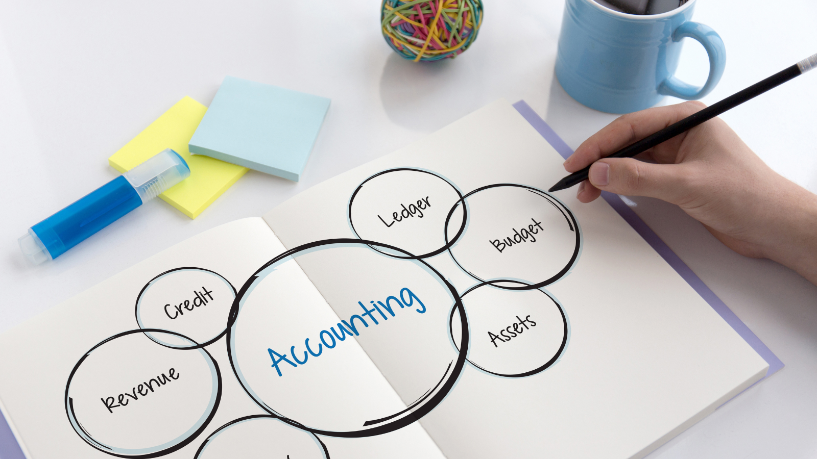 Accounting Career Paths